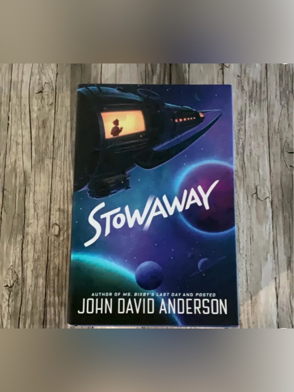 Stowaway by John David Anderson